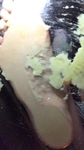 【縦動画】美足女子の食べ物クラッシュ※バナナ※下から もえ② FETK00467
