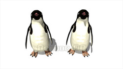 映像CG ペンギン Penguin120421-003